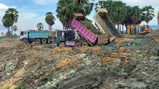 Bulldozers two D60p,D60xr and car15ton now project.