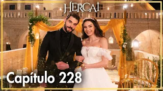 Hercai - Capítulo 228