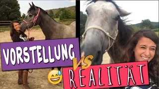 VORSTELLUNG VS REALITÄT ✮ Pferdefotos + OUTTAKES