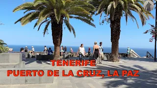 TENERIFE, La Paz, Someone won't be happy!!, 28 Mar-23, 28C