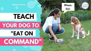 How to Teach your dog to 'Eat on command' or 'Impulse control' ll Step by Step Guide ll