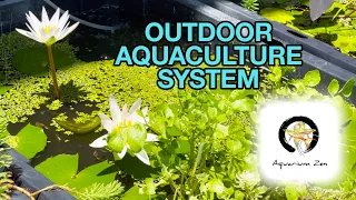 Steve's Outdoor Aquaculture System