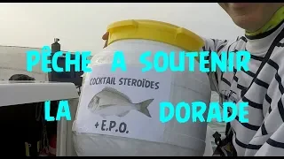 FISHING and SETTINGS for DORADES with bait and strouille or Broumé # 41