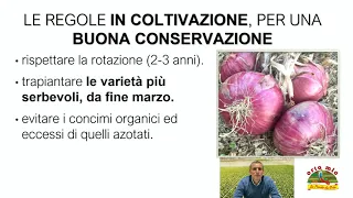 CIPOLLA: COLTIVAZIONE E CONSERVAZIONE - (VIDEO LEZIONE n.4- 2)