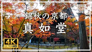 【京都 秋の旅】真如堂 〜近年人気上昇中の紅葉の名所。早朝の落ち着いた雰囲気の境内の紅葉をご覧ください。