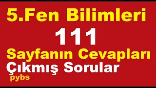 5. sınıf fen bilimleri ders kitabı 111 sayfanın cevapları çıkmış sorular