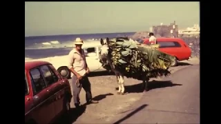 Viaje a Tenerife y Lanzarote. Años 70