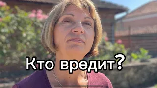 И как в Болгарии? Остался только пенёк!