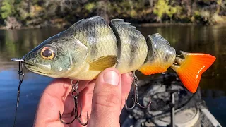 Swimbait Fishing Ferocious River Beasts!