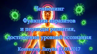 Контактер Латуйя. Ченнелинг. Функции паразитов и периоды развития, достижение уровней осознания