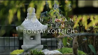 Mein Japan Garten Bonsai und Koi Koiteich Ein einfaches Paradies schaffen Wenig Arbeit Viel Spaß