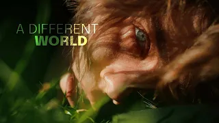 A Different World | Shortfilm | Sony A7S3 & Sirui Jupiter lens