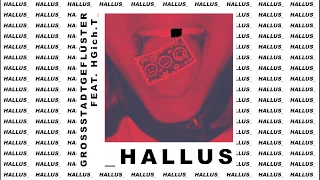 GROSSSTADTGEFLÜSTER feat. HGich.T - HALLUS (OFFICIAL AUDIO)