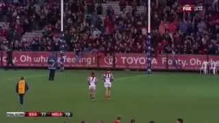 Essendon v Melbourne: Second Half - Round 13, 2014