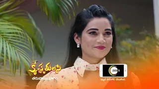 Krishna Tulasi | Premiere Ep 181 Preview - Sep 20 2021 | Before ZEE Telugu | Telugu TV Serial