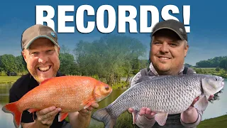 Match Fishing Records and Monster Fish | Andy May and Jamie Hughes