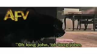 Oh Long Johnson Cat Subtitled