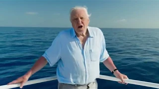 Blue Planet II Opening Intro Titles Episode 1 (HD)