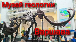 Польша 2022.Куда пойти с ребёнком в Варшаве?Музей в Варшаве.#польша2022 #варшава