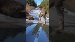 Man SAVES moose on ice  #crazy #viral #compassion #animals