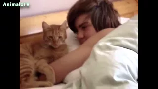 Funny Cats Waking Up Their Owners Compilation 2014