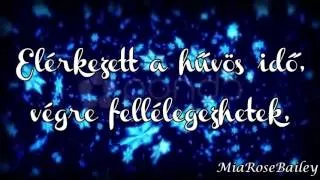 Demi Lovato -Let it Go ~Engedd el (magyar felirattal)