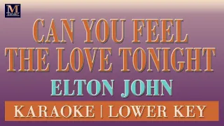 Can You Feel The Love Tonight - Karaoke (Elton John | Lower Key)