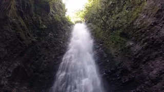 Jardin secret, ïle de la Réunion