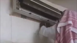 Snake Inside Air Conditioner?? - Amazing!!
