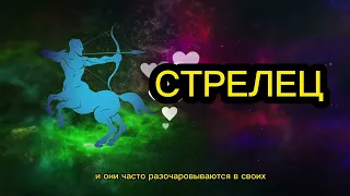 Вот почему не любят Стрельцов