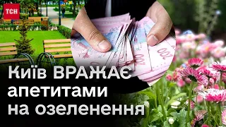 🌿  Озеленення Києва - на 20 МІЛЬЙОНІВ гривень! Звідки такі суми і чи доречно це зараз?