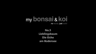 Bonsai - no words, just work! - No.5 - Lieblingsbaum - Die Eiche am Bodensee