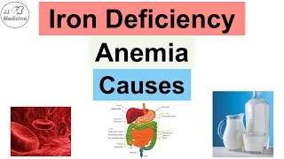Causes of Iron-Deficiency Anemia | Dietary, Losses & Utilization