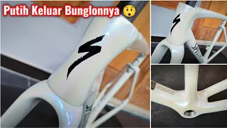 Bukan Putih Biasa‼️ Repaint Frame Specialized Tarmac SL7 Chameleon White