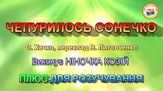 ЧЕПУРИЛОСЬ СОНЕЧКО (ПЛЮС)