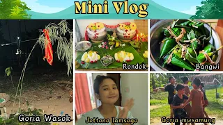 Tongthok Goria ni kaisa chikonsa vlog | Mini vlog | #rumimurasing #tiprasa #culture