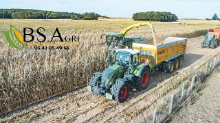 Ensilage de maïs dans le Loiret avec L'eta Bs-agri
