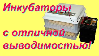 Это одни из лучших автоматических инкубаторов. Вместимость: 36, 64, 120, 176 яиц