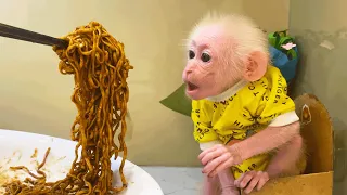 Smart Bibi finds instant noodles and asks Dad to cook