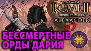 Total War: Rome 2 - Александр Великий (Divide et Impera) №7 - Бессмертные орды Дария