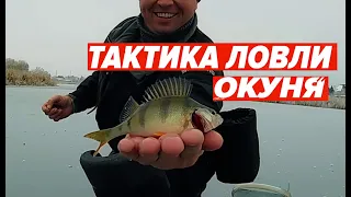 Тактика ловли окуня. Рыбалка со льда.