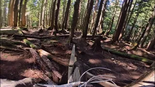 Antagonizer bike trail cypress