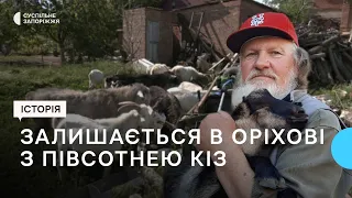 Доглядає за півсотнею кіз: історія чоловіка з прифронтового Оріхова