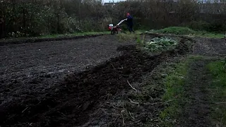 Безотвальный   плуг  для   мотоблока