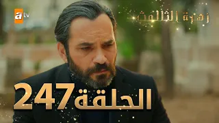 مسلسل زهرة الثالوث - الحلقة 247 | مدبلج | الموسم الثاني