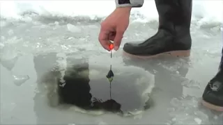 How to fishing on ice - pike fishing on ice - a csuka lékhorgászata