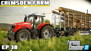 CLEARING THE FOREST. HOW MUCH CAN WE MAKE? | Calmsden Farm | Farming Simulator 22 - Episode 38