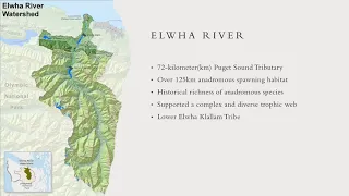 Chinook Salmon Recovery on the Post-Dam Elwha River