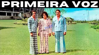 Castelo de Amor - Trio Parada Dura (Musica Com Primeira Voz) 1975