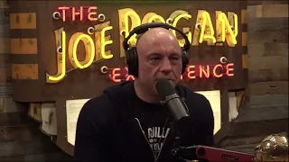 Younger Generations Are Not Starting Families｜Joe Rogan Experience